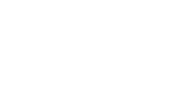 Flex Lease